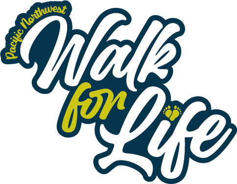 W4L with Outline-8